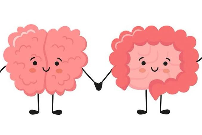 Gut feelings: The vital link between digestion and whole body&nbsp;health